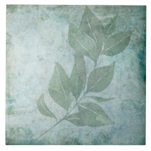 Oudere Botanische Tegel - Aqua en Bone V6 Tegeltje