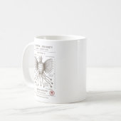 Oudere Dingen - Pabodie Expeditie, Miskato Koffiemok (Voorkant links)