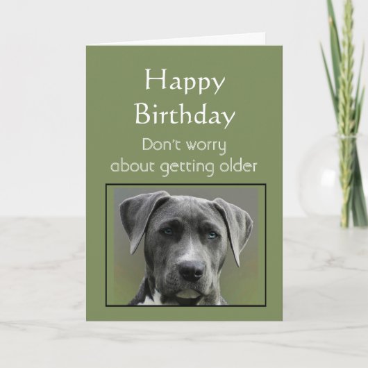 Oudere Humor Happy Birthday Fun Dog Kaart (Voorkant)