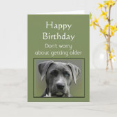 Oudere Humor Happy Birthday Fun Dog Kaart (Gele Bloem)