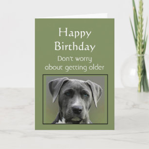 Oudere Humor Happy Birthday Fun Dog Kaart