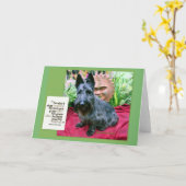 Oudere Kaart (Gele Bloem)