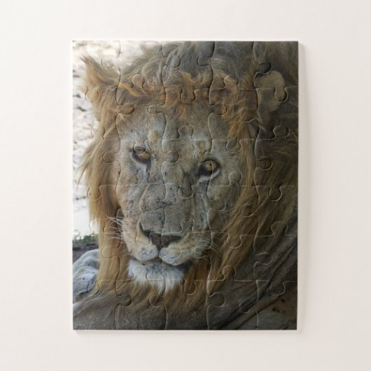 Oudere Leeuw Wild Dier Legpuzzel (Verticaal)