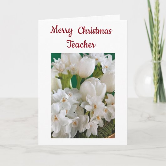 OUDERE STUDENT ***LERER** IN CHRISTMAS FEESTDAGEN KAART (Voorkant)
