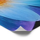 Oudere vrouw met botervliegen en bloemen poster (Hoek)