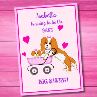Oudere Zus Cavalier King Charles Spaniel Naam Kaart