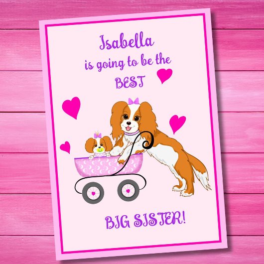 Oudere Zus Cavalier King Charles Spaniel Naam Kaart