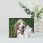 Ouderen Basset Briefkaart (Staand voorkant)