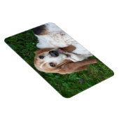 Ouderen Basset Magneet (Rechterzijde)