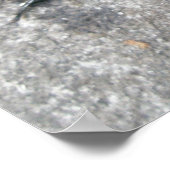 Ouderen klikken op Poster met balken (Hoek)