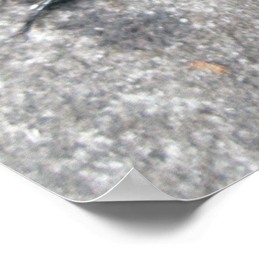 Ouderen klikken op Poster met balken (Hoek)