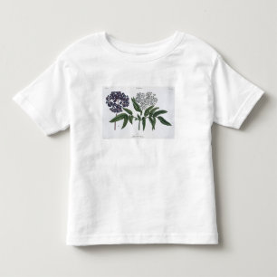 Ouderen, vijg. 13 van 'The Young Landsman', uitgev Kinder Shirts