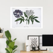 Ouderen, vijg. 13 van 'The Young Landsman', uitgev Poster (Thuiskantoor)