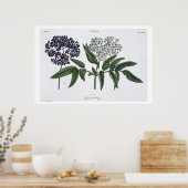 Ouderen, vijg. 13 van 'The Young Landsman', uitgev Poster (Keuken)