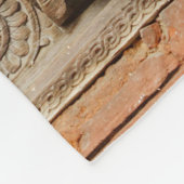 Ouderlijk venster op de Nasal Chowk Courtyard van  Fleece Deken (Hoek)