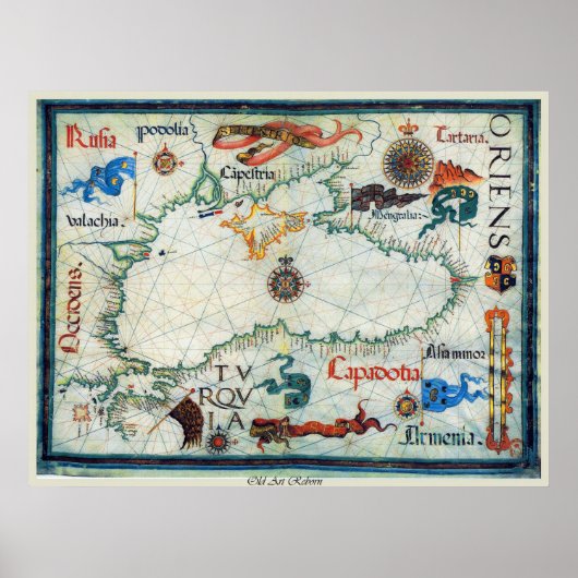 Ouderlijke kaart van het zwarte Zee Poster (Voorkant)