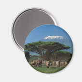 Ouders van Mt. Kilimanjaro Magneet (Voorkant / Achterkant)