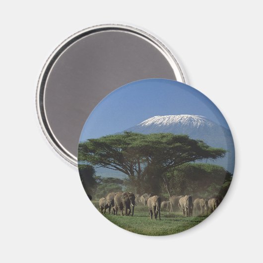 Ouders van Mt. Kilimanjaro Magneet (Voorkant / Achterkant)