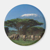 Ouders van Mt. Kilimanjaro Magneet (Voorkant)