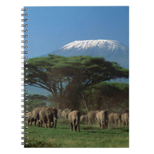 Ouders van Mt. Kilimanjaro Notitieboek