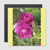 ouderwets roos (Voorkant / Achterkant)