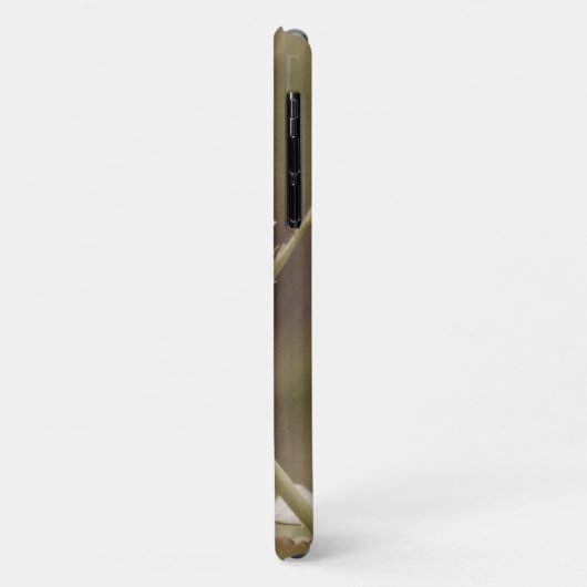 Ouderwets Roos Case-Mate iPhone Case (Achterkant/links)