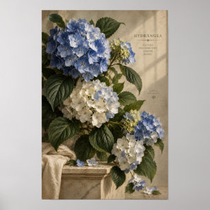 Ouderwetse Blauwe Hortensia Botanische Muurkunst Poster