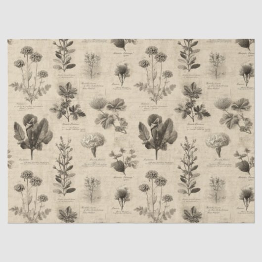 Ouderwetse botanische bloempatroon (11) tissuepapier (Voorkant)