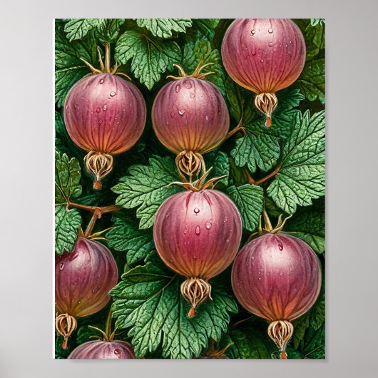 Ouderwetse Groene Bes Plant Rustieke Keuken Decora Poster (Voorkant)