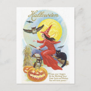 ouderwetse halloween, heks & owl briefkaart