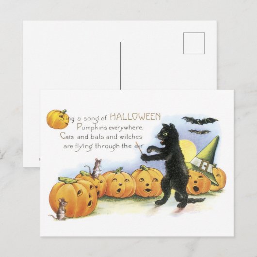 ouderwetse halloween, zwarte kat en pompoenen briefkaart (Voorkant / Achterkant)