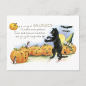 ouderwetse halloween, zwarte kat en pompoenen briefkaart (Voorkant)