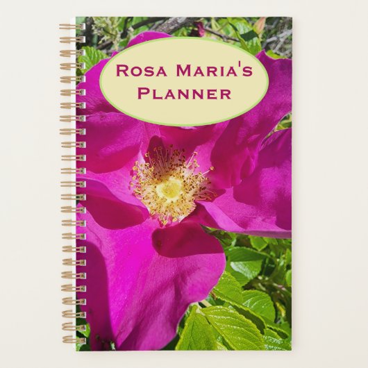 Ouderwetse Klimplanner Planner (Voorkant)
