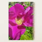 Ouderwetse Klimplanner Planner (Achterkant)