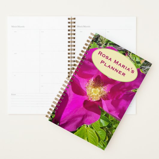 Ouderwetse Klimplanner Planner (Display)