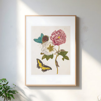 Ouderwetse Roze Pioen Bloem, Bloem Illustratie Poster