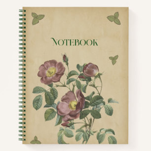 Ouderwetse Roze Roos Botanische Bloem Illustratie Notitieboek
