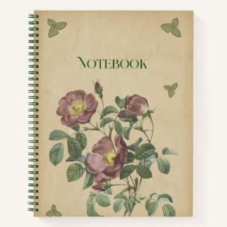 Ouderwetse Roze Roos Botanische Bloem Illustratie Notitieboek