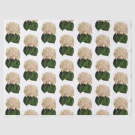 Ouderwetse Roze Witte Groene Hortensia Bloemen #2 Tissuepapier