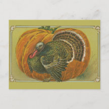 Ouderwetse Thanksgiving-groet kalkoen en pompoen