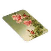 Ouderwetse Valentijnsdag Roze Victoriaanse Tuinroo Magneet (Rechterzijde)