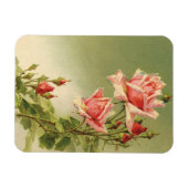 Ouderwetse Valentijnsdag Roze Victoriaanse Tuinroo Magneet (Horizontaal)