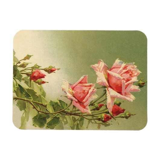 Ouderwetse Valentijnsdag Roze Victoriaanse Tuinroo Magneet (Horizontaal)