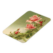 Ouderwetse Valentijnsdag Roze Victoriaanse Tuinroo Magneet (Linkerzijde)