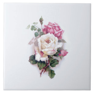 Ouderwetse witte/roze rozen-witte achtergrond tegeltje