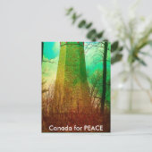 Oudste lichthuis in Toronto Briefkaart (Staand voorkant)