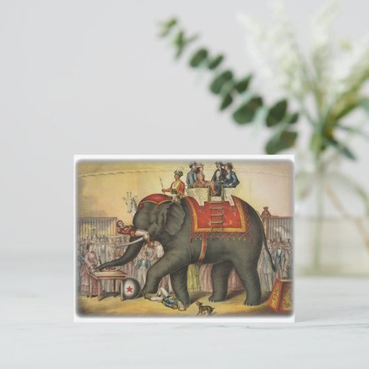 oudste olifant briefkaart (Staand voorkant)