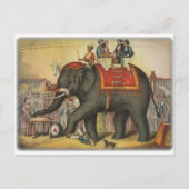 oudste olifant briefkaart (Voorkant)