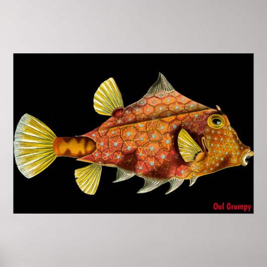 Oul Chagrijnige Poster (Voorkant)