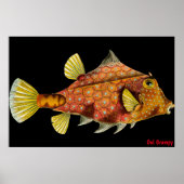 Oul Grumpy Poster (Voorkant)